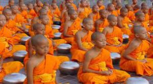 Young Buddhist monks in orange robes are seated lined up in rows and with bowls in front of them