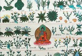 A painting with an image of a Buddha in meditation, seated on a lotus throne. The Buddha is surrounded by neatly drawn horizontal rows of plants, separated by horizontal lines.