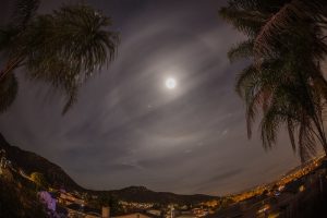 Moon and Halo framed by palm trees