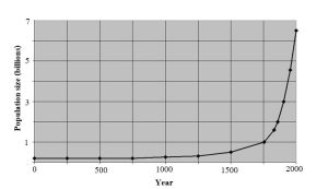 X-Y graph showing exponential increase in population size due to positive feedback.