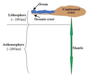 Diagram of lithosphere floating on aesthenosphere (in cross section).