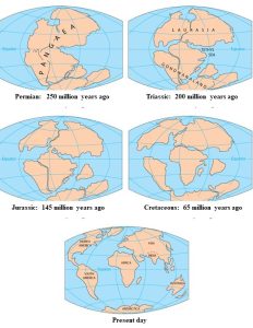 Maps showing stages of reconstruction of history of continental drift.