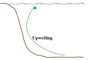 Cross-sectional sketch of coastal ocean waters. Curved upward arrow show upwelling of nutrients toward the surface.