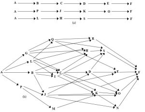 Two diagrams made up of arrows to distinguish between food chains (simple straight-line relationships) and food webs (arrows are crisscrossed)