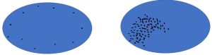 Two blue ovals, each with small black dots in it.