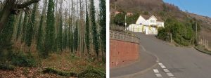 Two photos: left, a wooded area; right, a house at the top of a paved road.