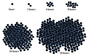 Clusters of dark blue dots; the number of dots increases dramatically from cluster to cluster.