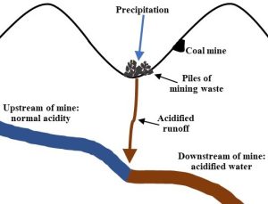 Diagram with several arrows and curves illustrating a stream before and after acid pollution