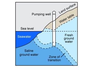 A diagram, in cross section, of a well in a coastal zone; salt water is drawn into the well.