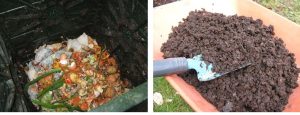 Two photos: left, a pile of food scraps and right, soil-like compost.