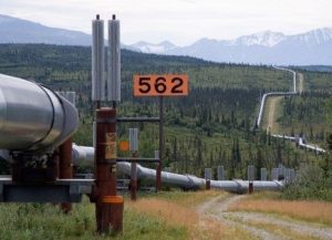 Photograph of a large steel pipe running across the surface of a wild area