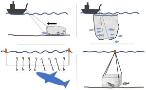Diagrams of fishing gear