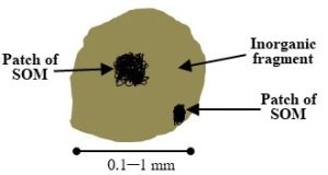 Diagram of large brown sphere and black arrows and patches