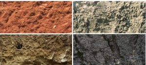 Photos of four soils of different colors