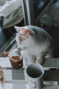 Cat next to a wooden bird.