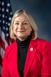 Portrait of Susan Ellis Wild from the 115th Congress.