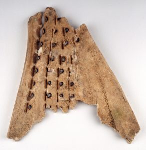 Ox shoulder blade with holes and some written characters used in divination
